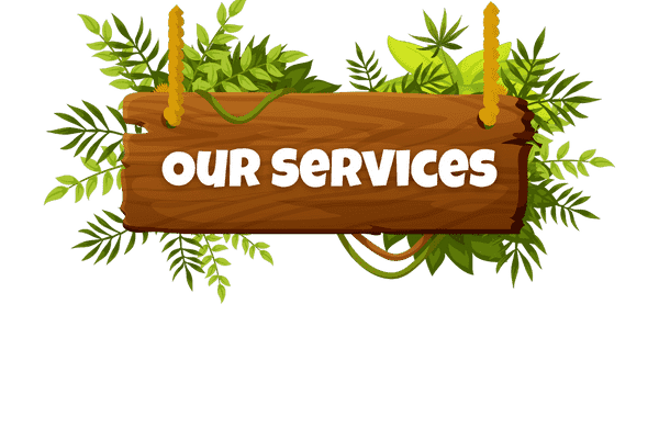 Our Services 1